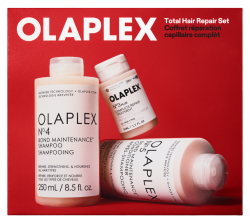 Total Hair Repair Holiday Kit