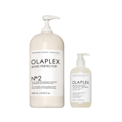 Detox & Repair Deal Small - No.2 Bond Protector + Chelating Treatment Gratis