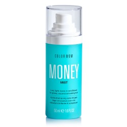 Mini Money Mist