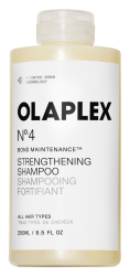 No.4 Bond Maintenance Shampoo