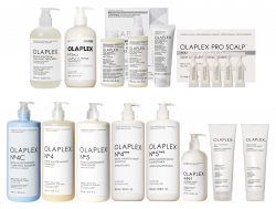 The Backbar Foundation Kit