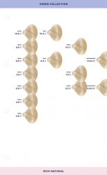 Erweiterung Farbkarte Sheer & Boost Nuancen