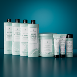 Beyond Blonde Starter Set